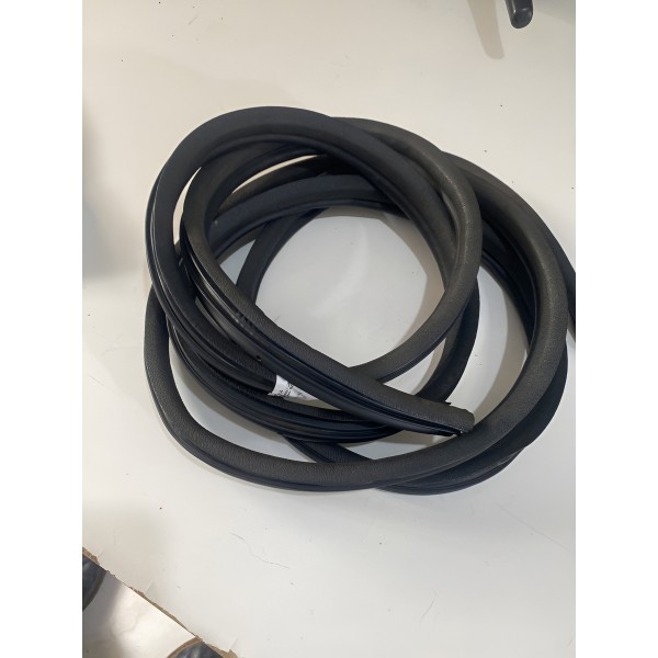 Borracha Vedação Porta Dianteira Master 2014/2024 Original